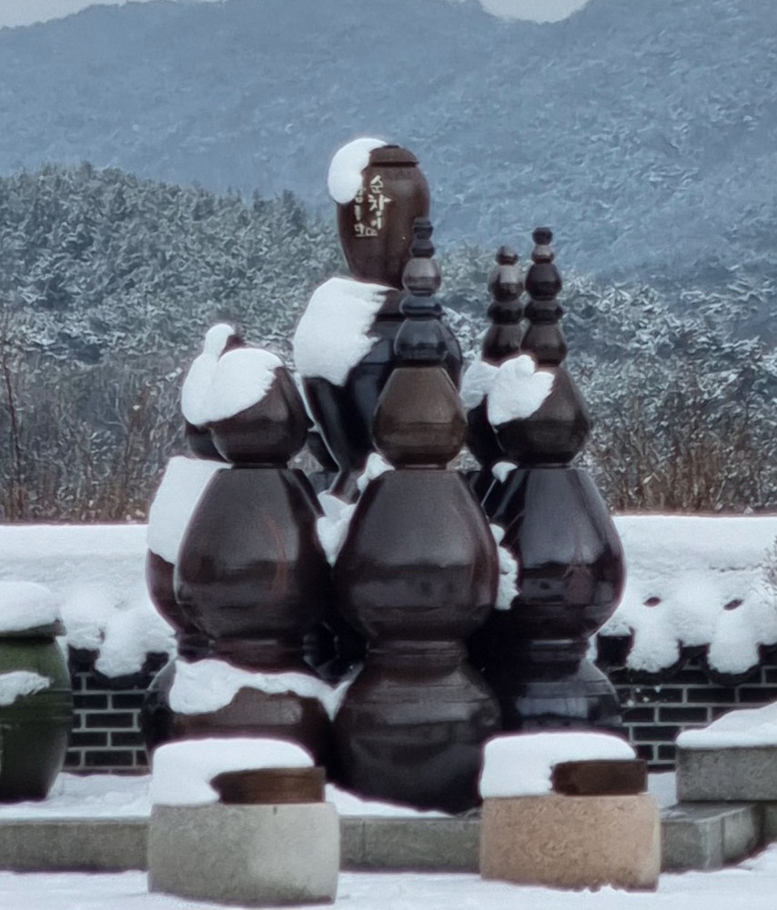 눈 덮인 산수유 꽃과 흰 눈 쌓인 장독대