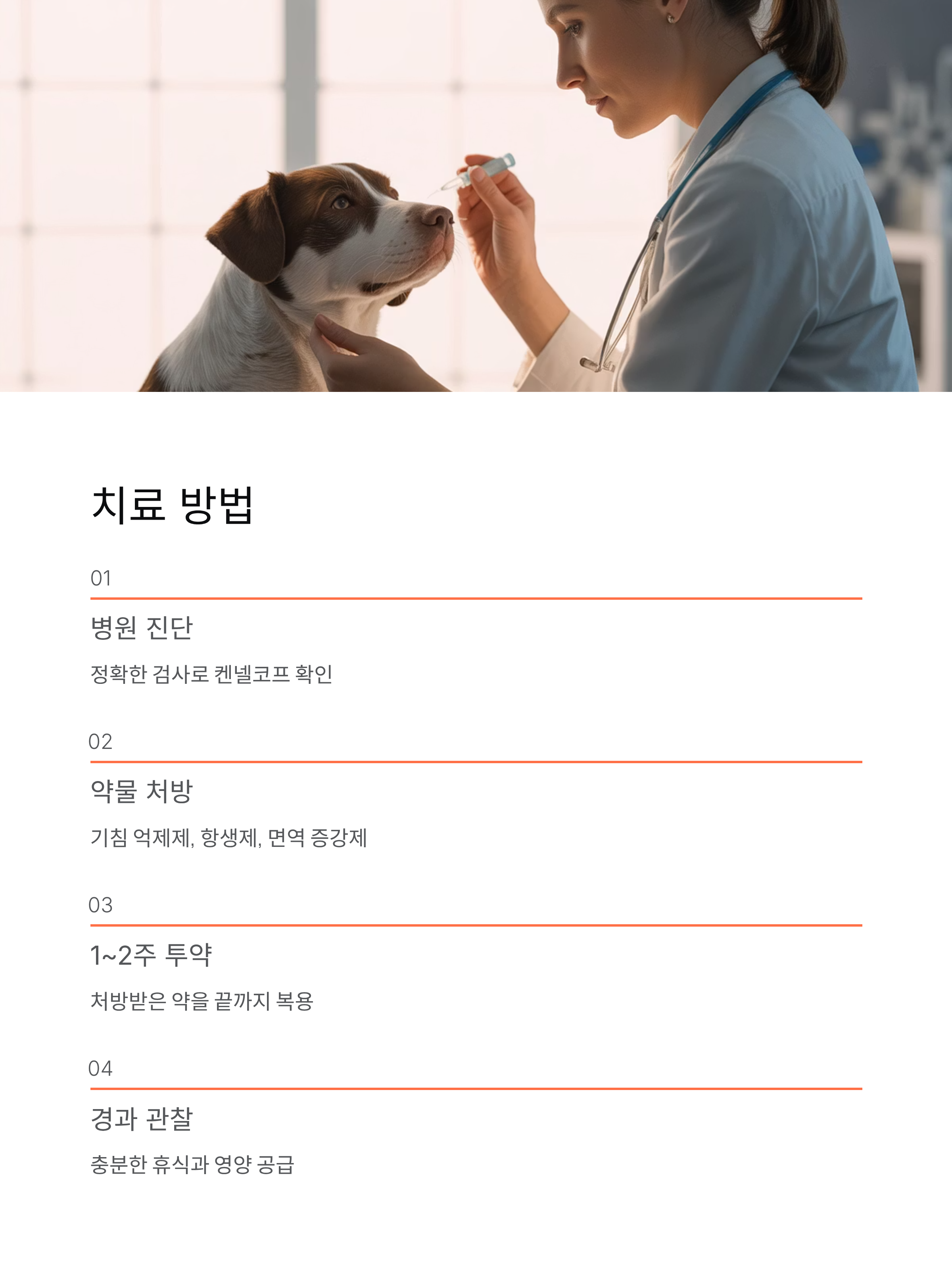 강아지 켄넬코프 증상과 치료 완벽 가이드 ❘ 우리 강아지 지키는 법