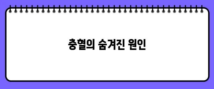 눈이 충혈되는 이유