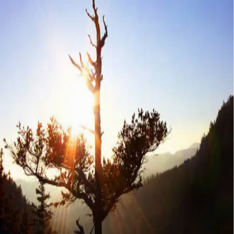 [기미&middot;잡티 고민 끝] 트라넥삼산 선크림 효능과 부작용 총정리!