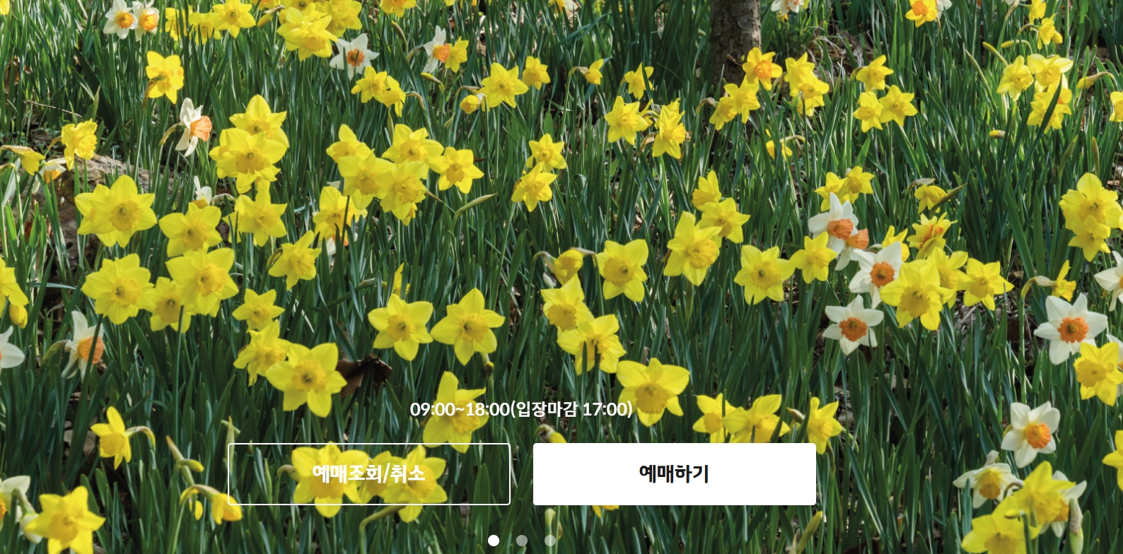 화담숲 사전예약 필수예약 방법 알아보기(+모노레일 입장권)