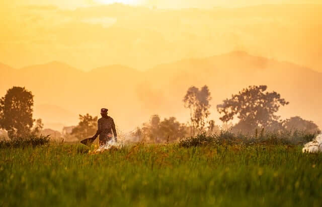 농업경영체등록 확인서 발급방법