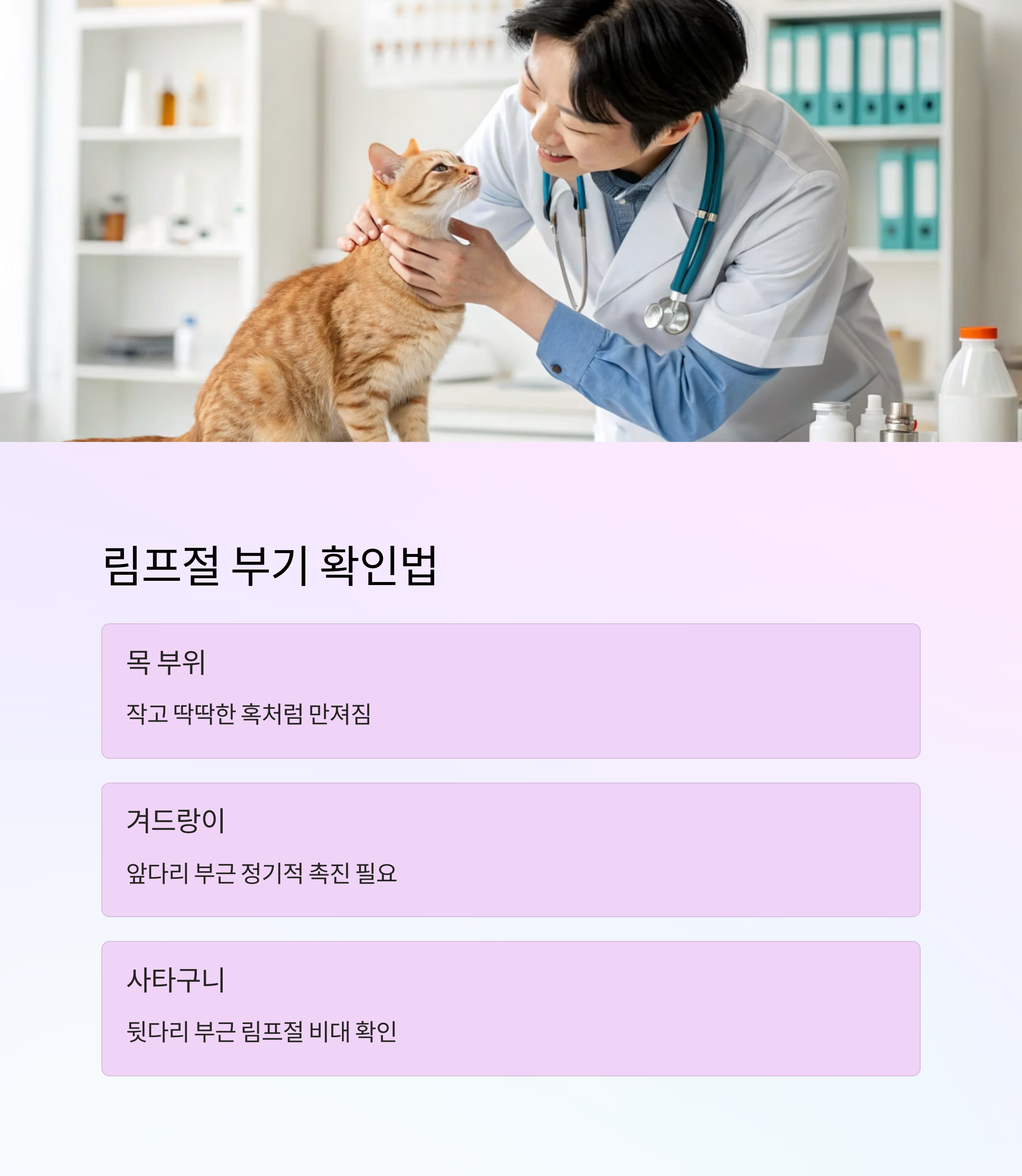 고양이의 림프절 부위