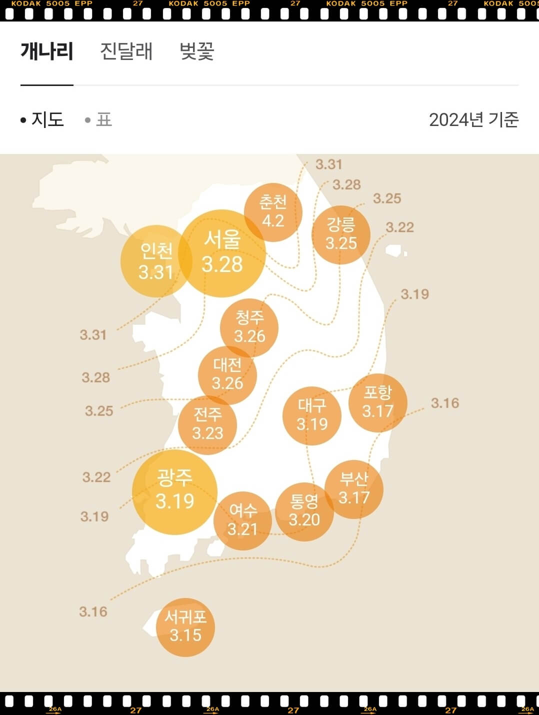 개나리 개화 지도