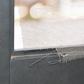 러브버그 퇴치 및 예방법