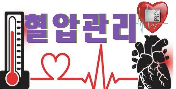 겨울철 혈압관리 필수팁 (온도, 나트륨, 운동량)