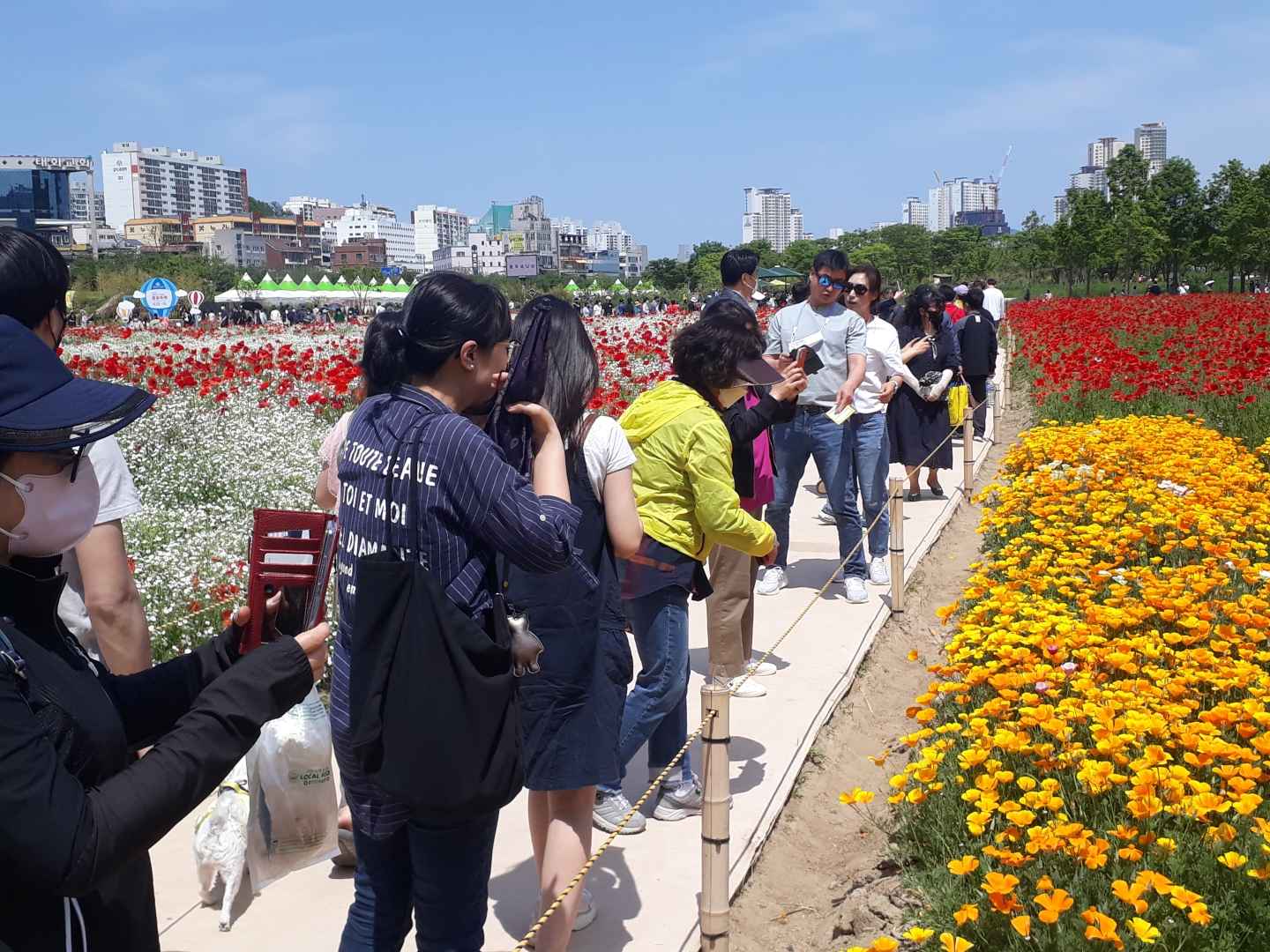 태화강 국가정원 봄꽃축제 기본정보