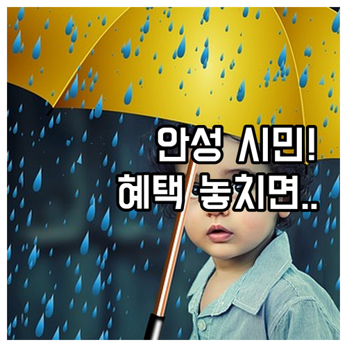 2025년 안성시 시민안전보험 보장 ..