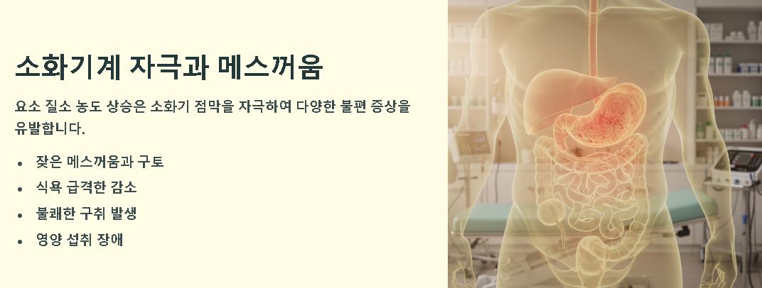 bun 수치가 높을 경우 나타나는 증상