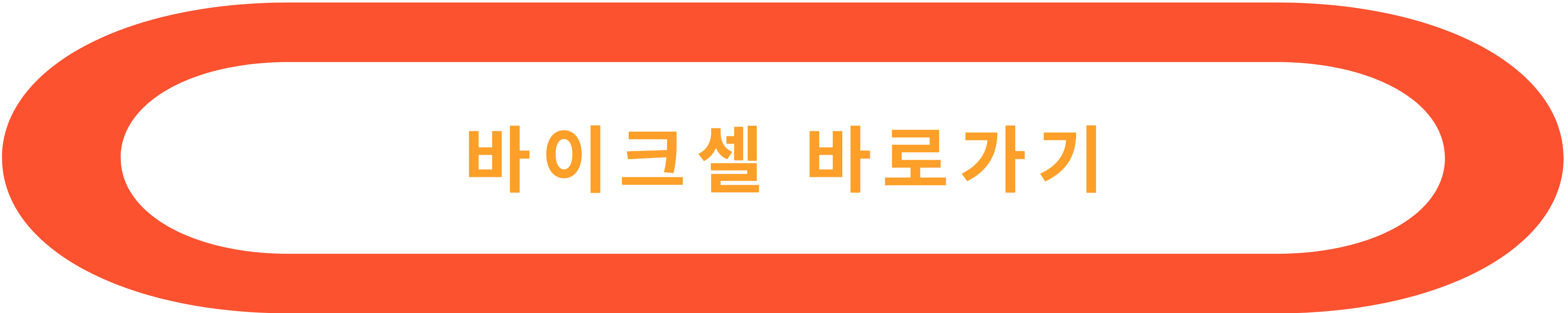 완벽한 입문용 로드 자전거(바이크) 추천(바이크셀)