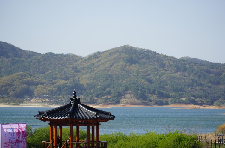 대청호 벚꽃축제5