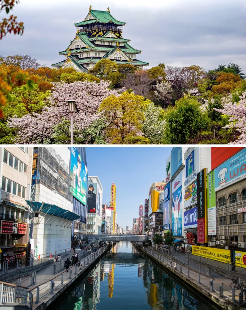 벚꽃 보러 가기 일본 - 5