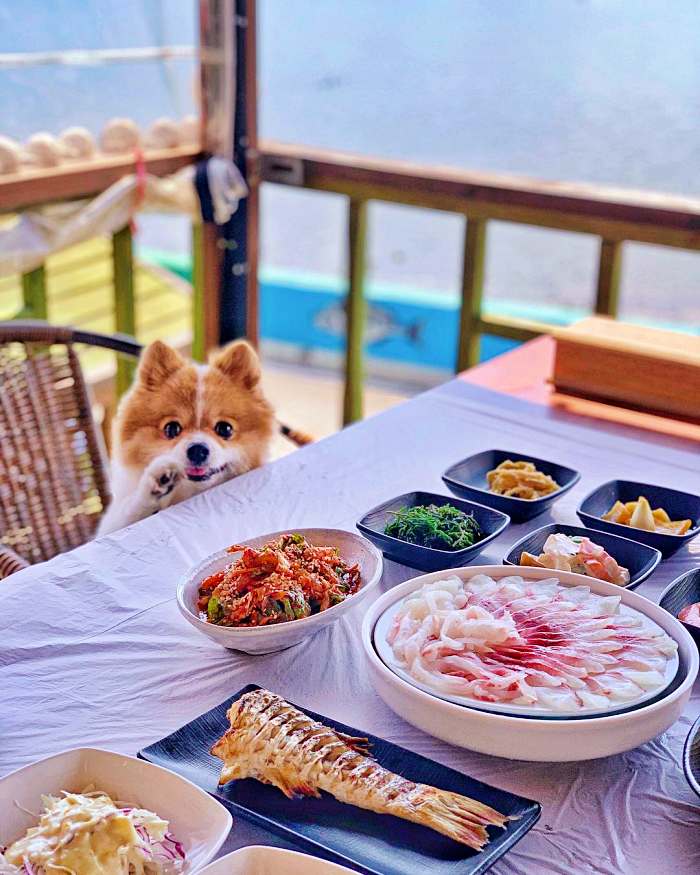 생방송투데이 하동 금오산 짚라인 오션뷰 녹차 숭어회 맛집