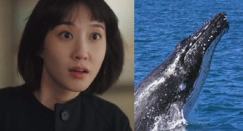 이상한-변호사-우영우-드라마-스틸컷20