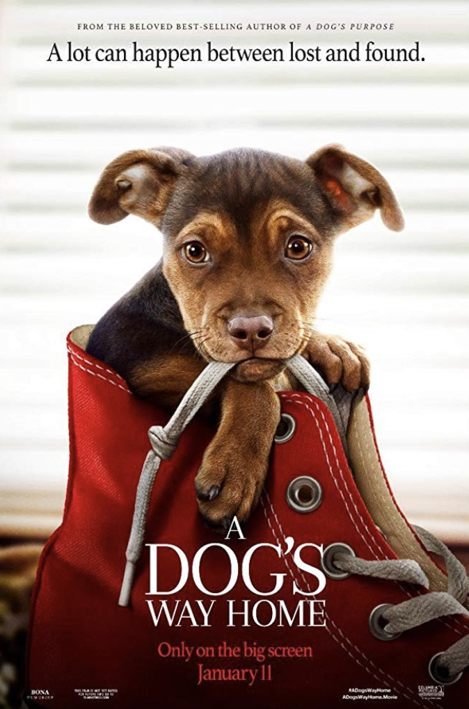 더 웨이 홈(A Dog's Way Home, 2019)