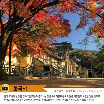 가을 경주 여행 가볼만한곳 베스트 10으로 정리_7