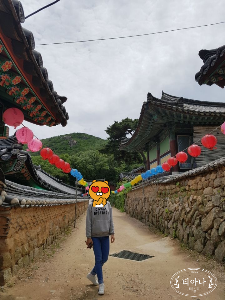 가을 옷을 입은 금정산 &amp;#39;범어사&amp;#39;