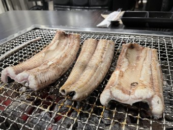 장어 효능 9가지와 부작용 및 주의사항