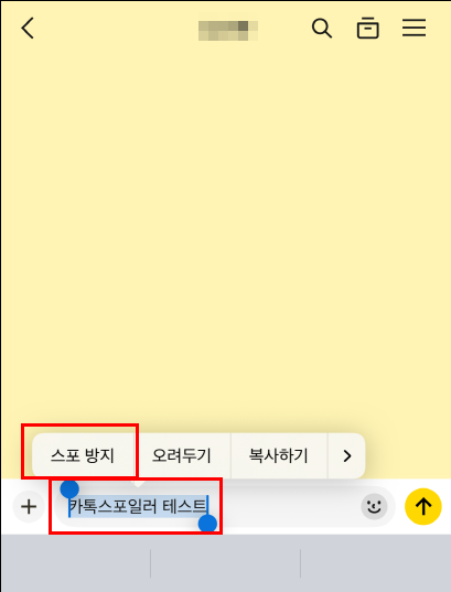 선택한 텍스트 스포 방지 선택