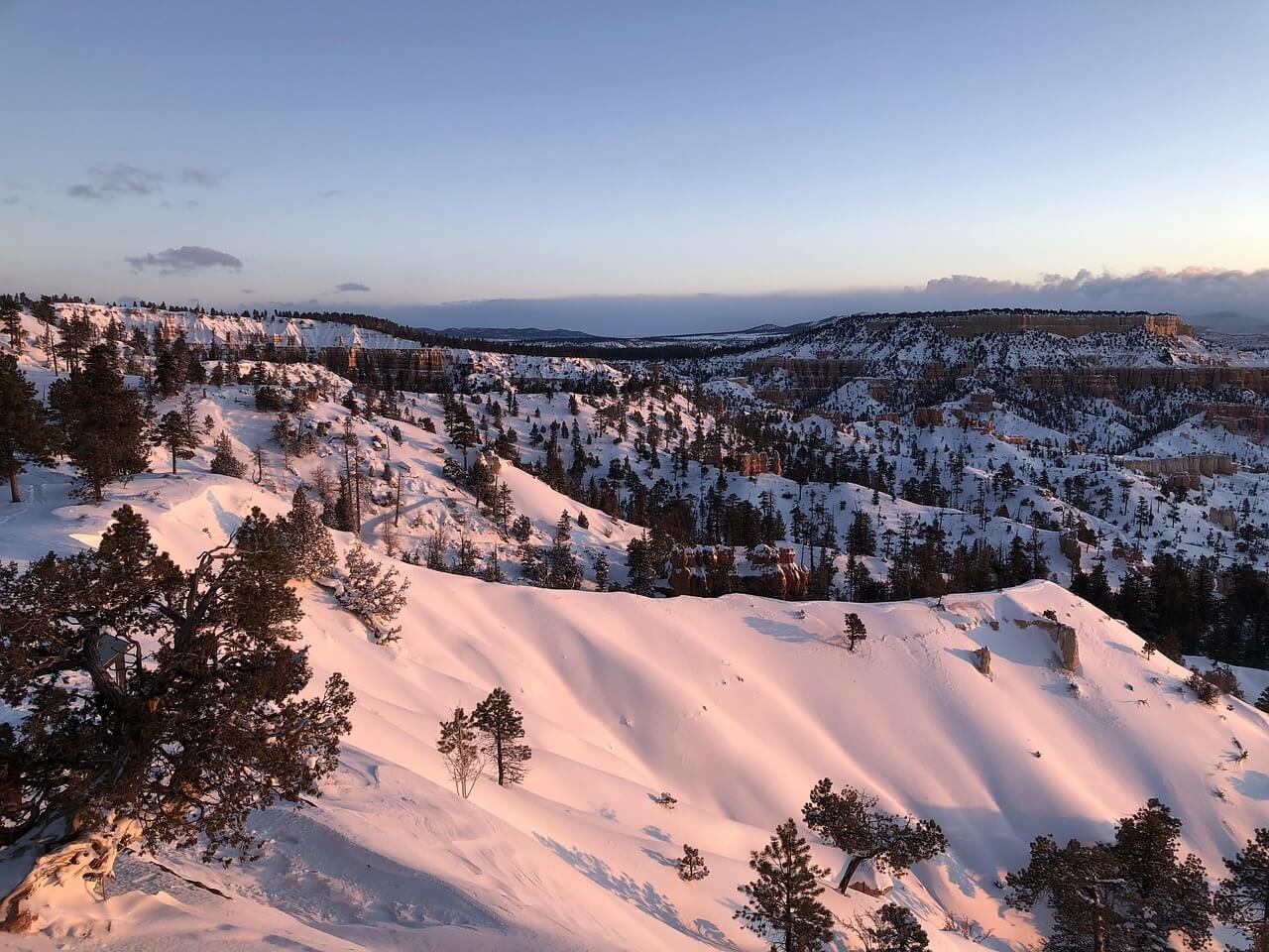 수미마을 양평빙송어축제