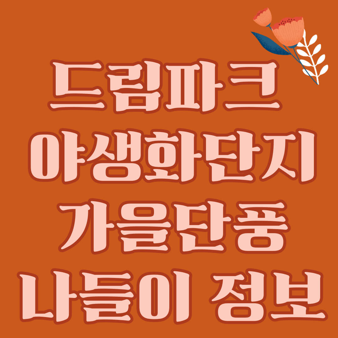 드림파크 야생화단지 국화 축제 가을 단풍 나들이 정보 및 주차 정보