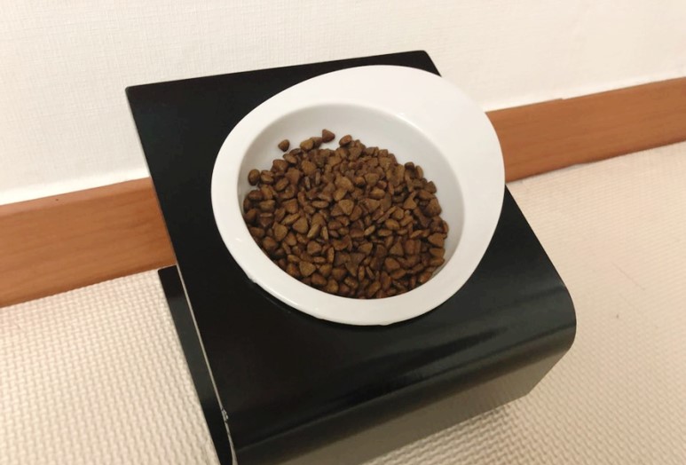 강아지 원목식기 밥그릇 후기