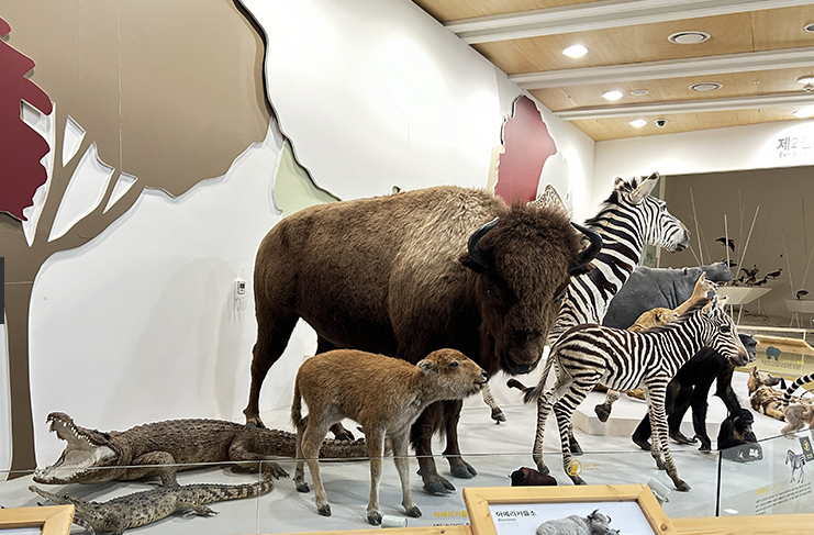 상주곶감축제 근처 가볼만한 곳
