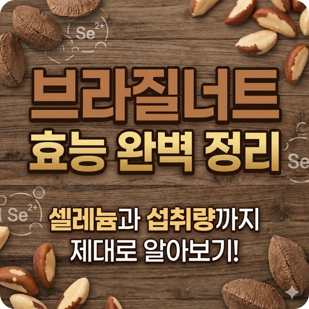 브라질너트 효능