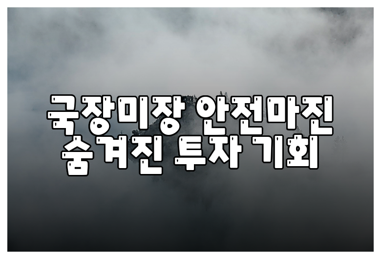 국장미장 안전마진 숨겨진 투자 기회
