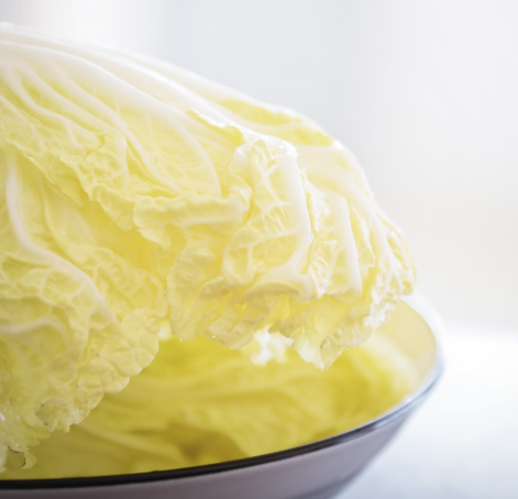 배추 효능 부작용 칼로리