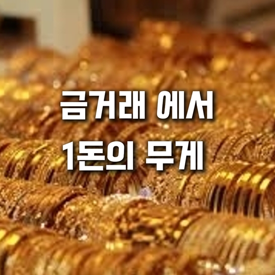 다수-금