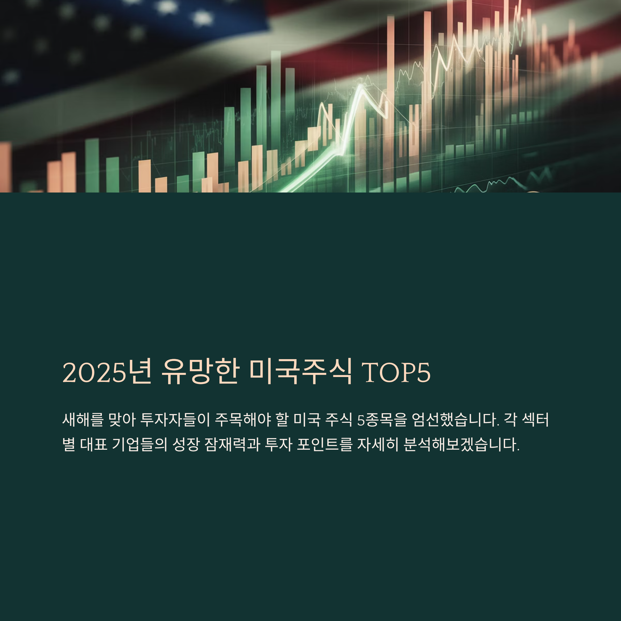 2025년 유망한 미국주식 TOP5 정리