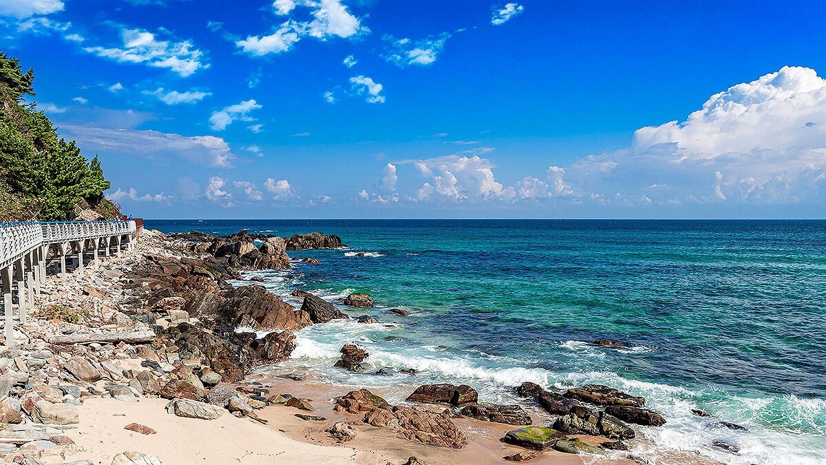 정동심곡 바다부채길 여행 정보