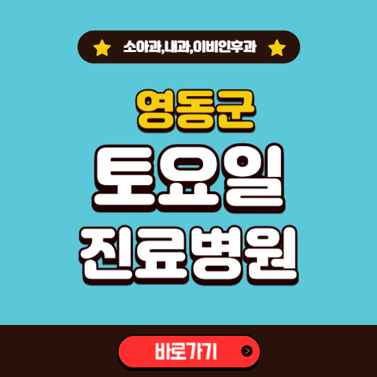 영동군 토요일 진료 병원 찾기 ❘ 주말 문여는 소아과, 내과, 이비인후과 리스트