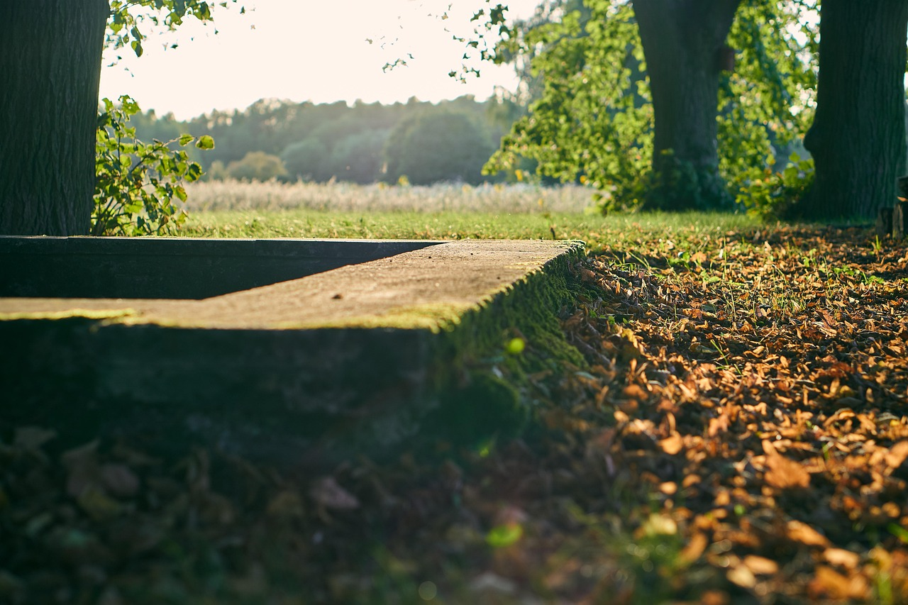 화담숲 예약방법 단풍의 절정시기 가는방법