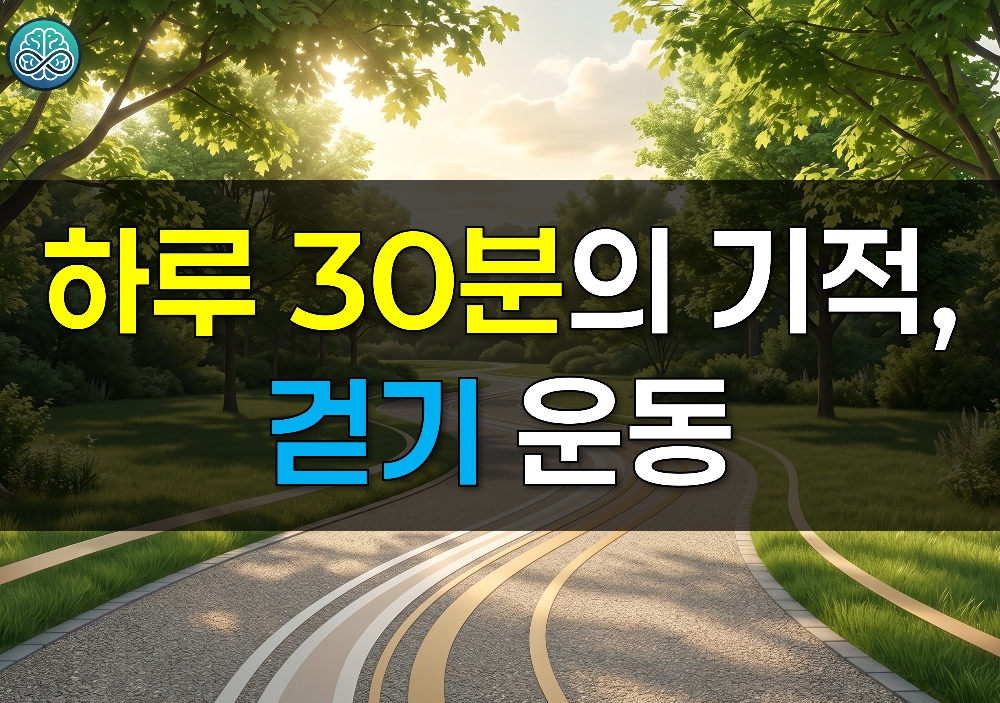 하루 30분의 기적, 걷기 운동 효과 총정리 - 초보자부터 임신부까지 맞춤형 건강 가이드