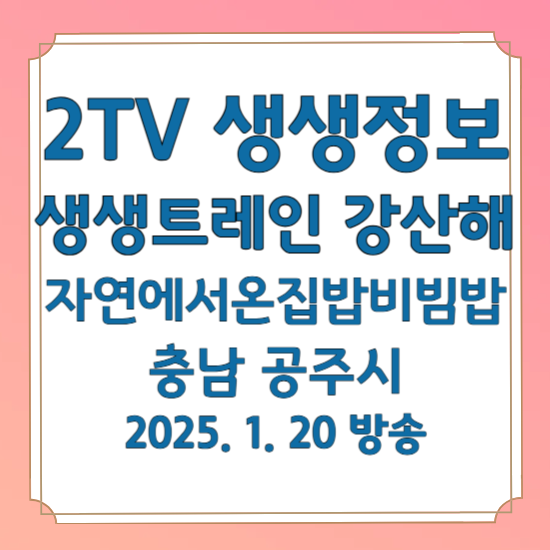 2TV 생생정보 생생트레인 강산해