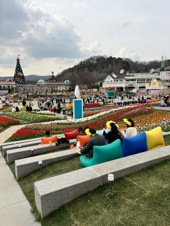 에버랜드 자유이용권 할인 최신 정보