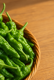 꽈리고추 멸치볶음