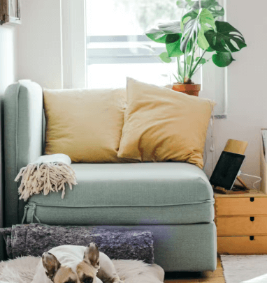 설날 병원 약국 현황