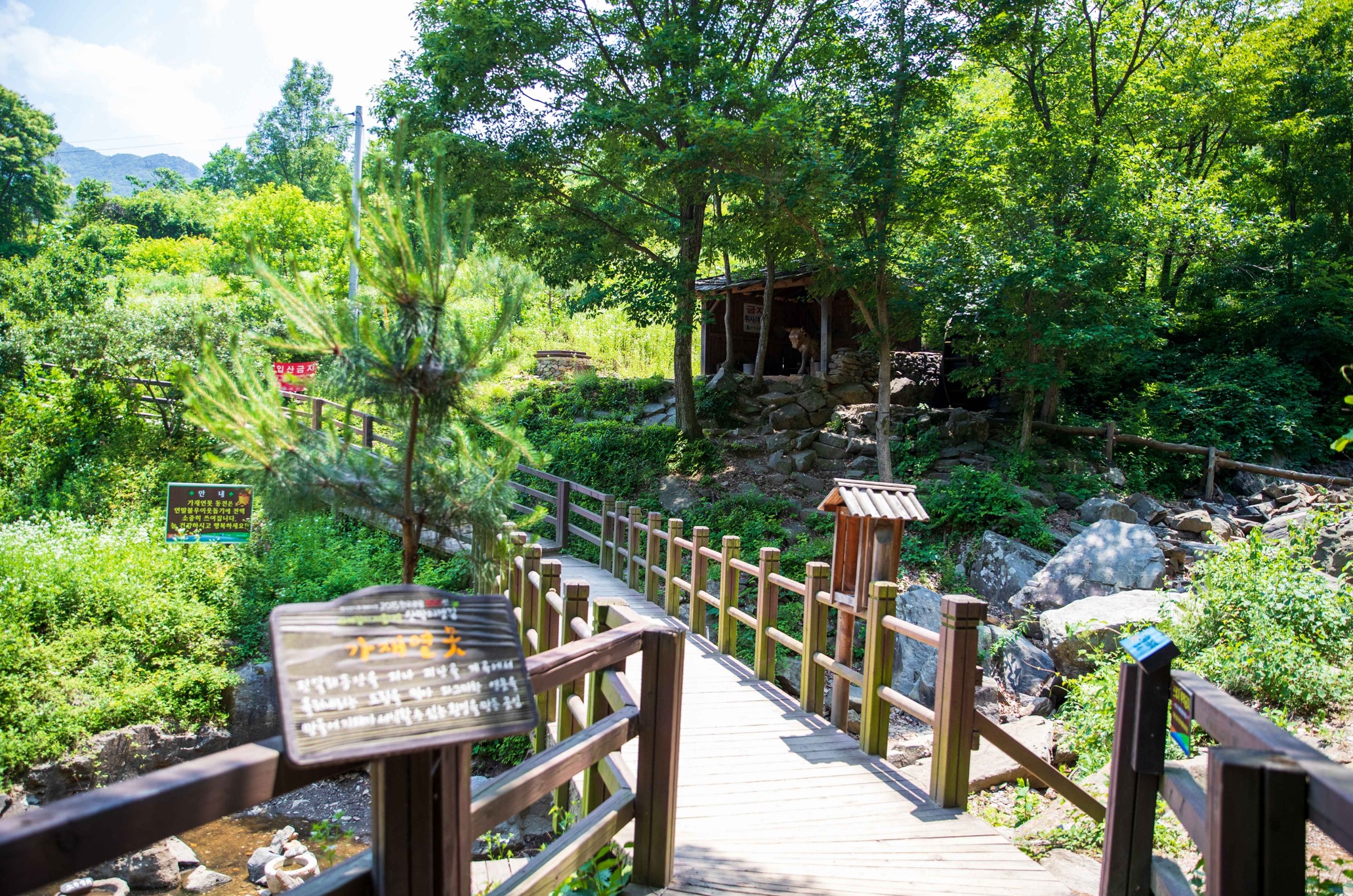 괴산-산막이옛길-트래킹