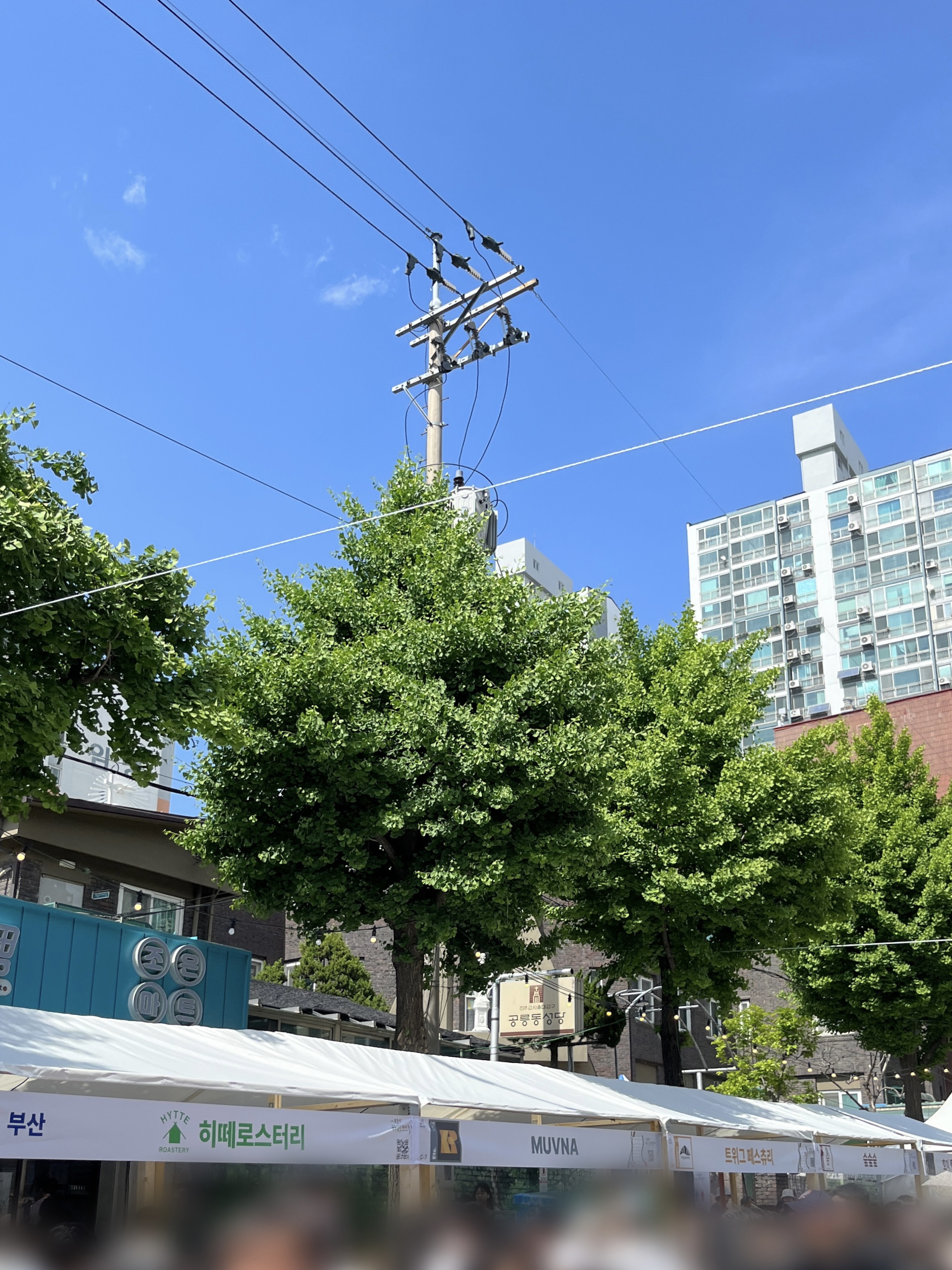 공릉숲길 커피축제