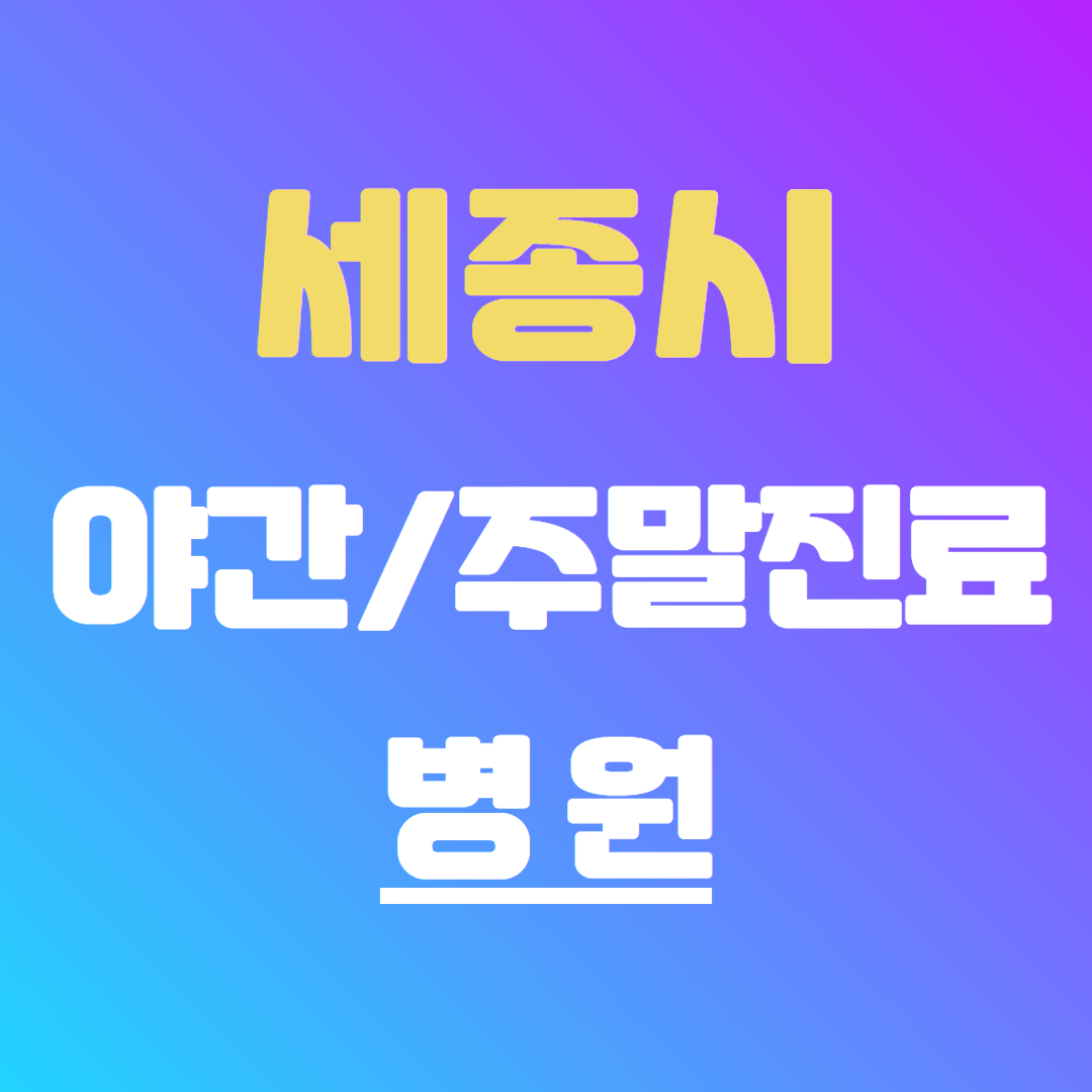 세종시 야간 주말 진료 병원