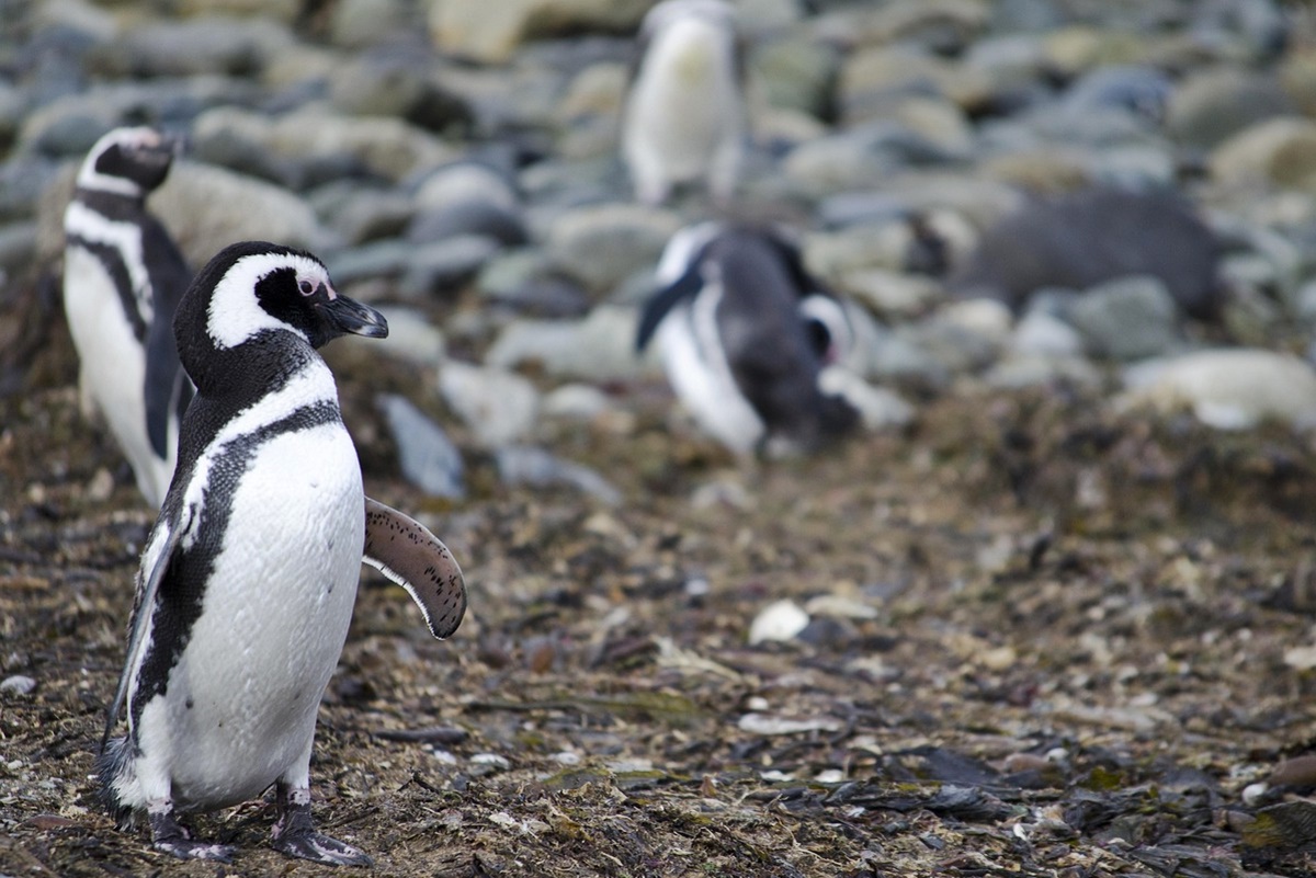빙하가 녹으면 해수면만 오르는 게 아니다!