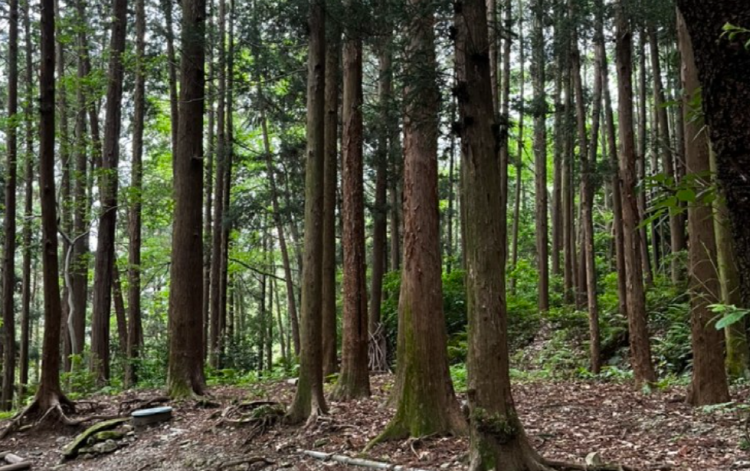 백양산 등산코스