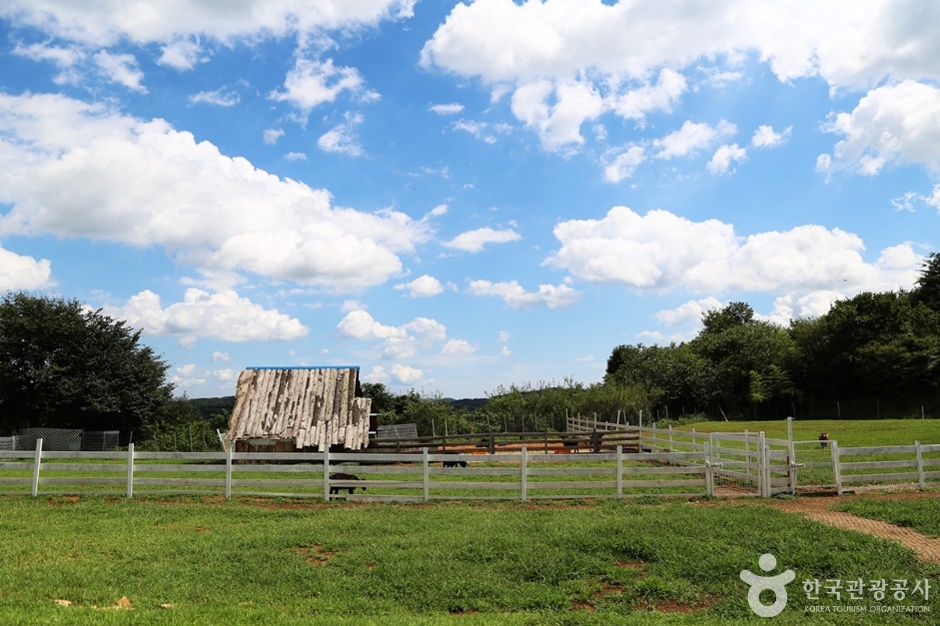 하동 가볼만한곳 베스트10