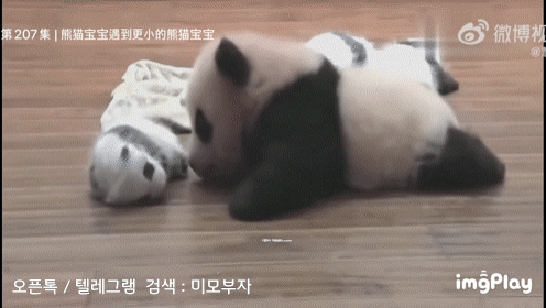 11월 3일 금 경제뉴스 신문스크랩