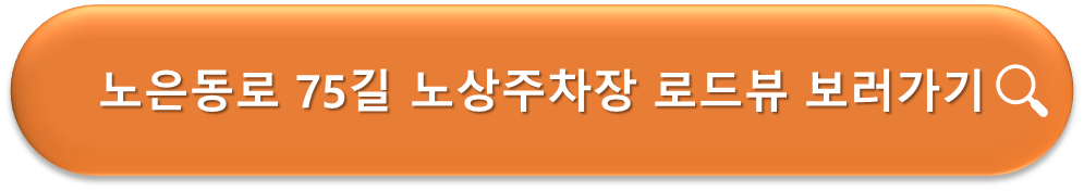 노은동로 75번길 노상주차장