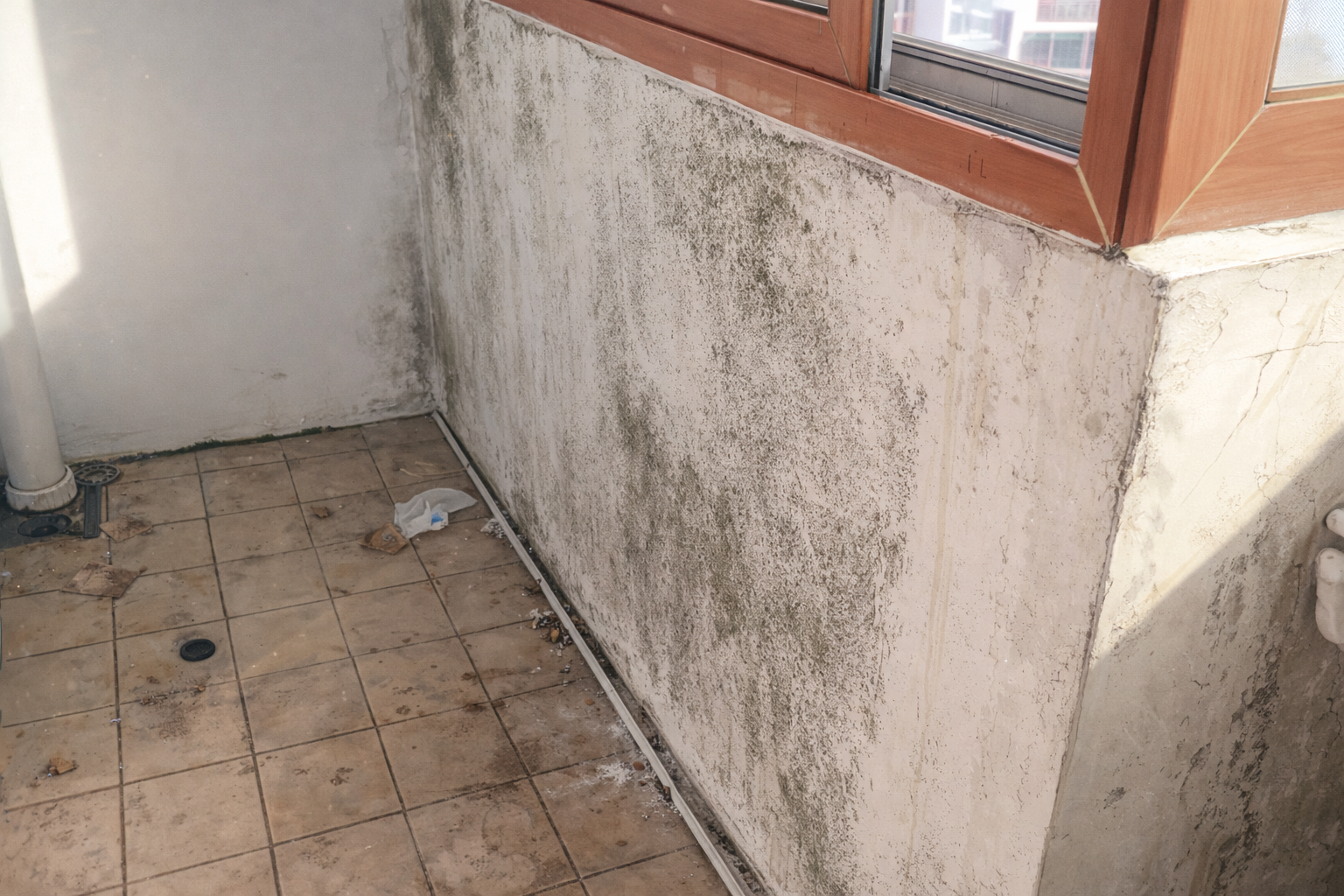 원룸 냄새 제거 - 곰팡이 발생