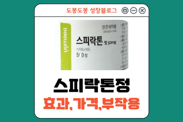 스피락톤정 안내 이미지